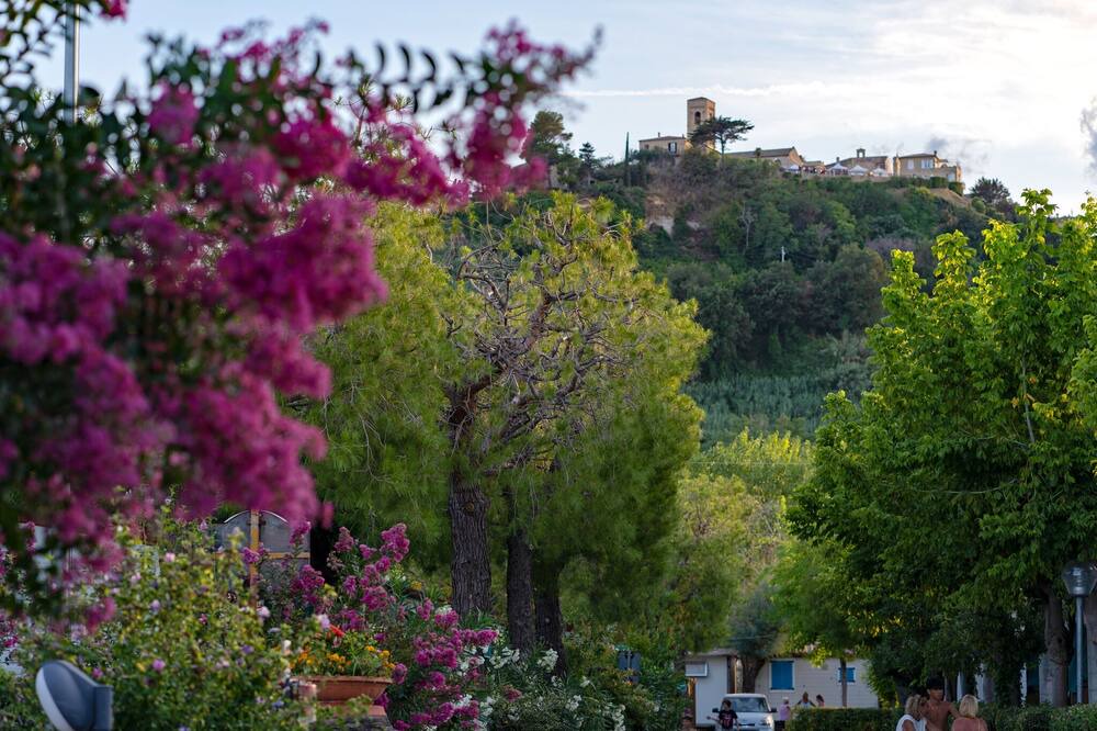 Photo of Outdoor in Marina Palmense