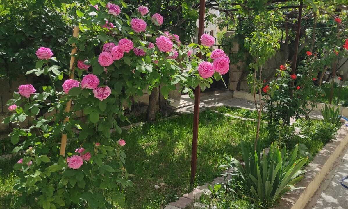 Photo of Outdoor in Nevsehir