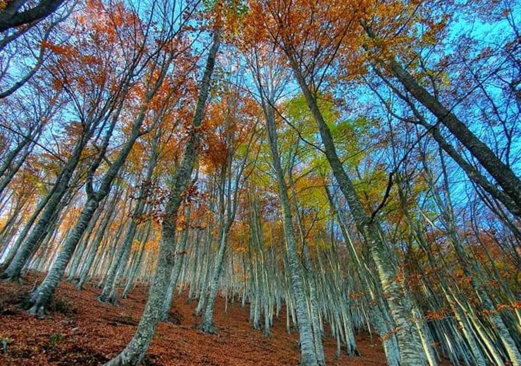 Photo of Outdoor in Caramanico Terme