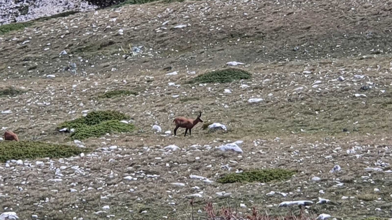 Photo of Outdoor in Caramanico Terme