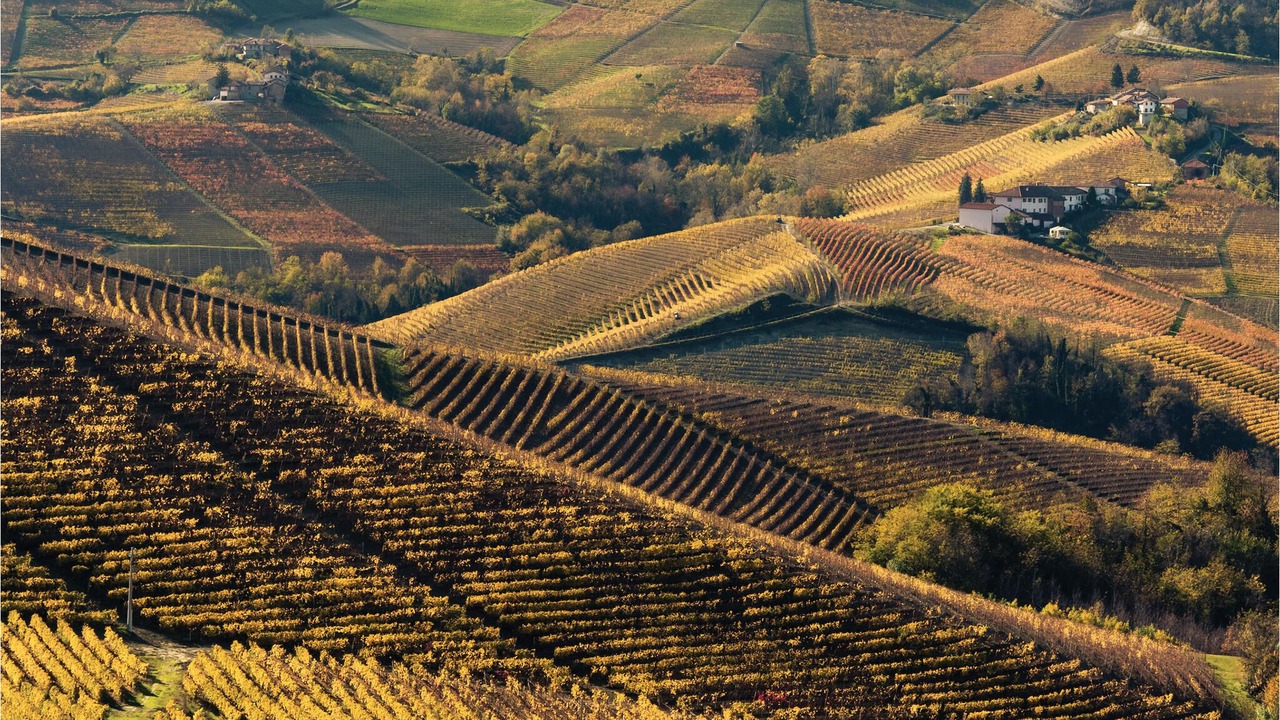 Photo of Outdoor in Frabosa Sottana