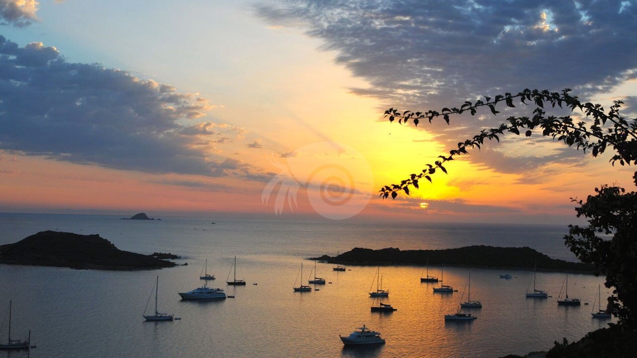 Photo of Others in Capo Coda Cavallo