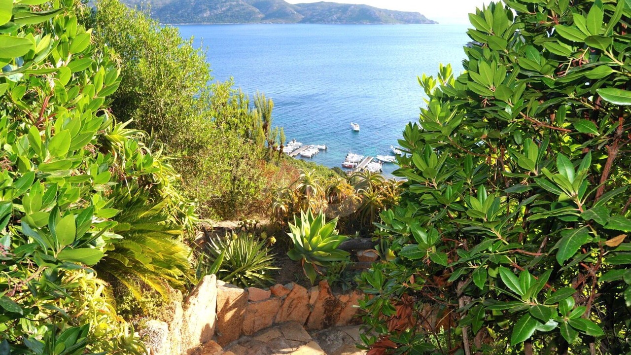 Photo of Outdoor in Capo Coda Cavallo