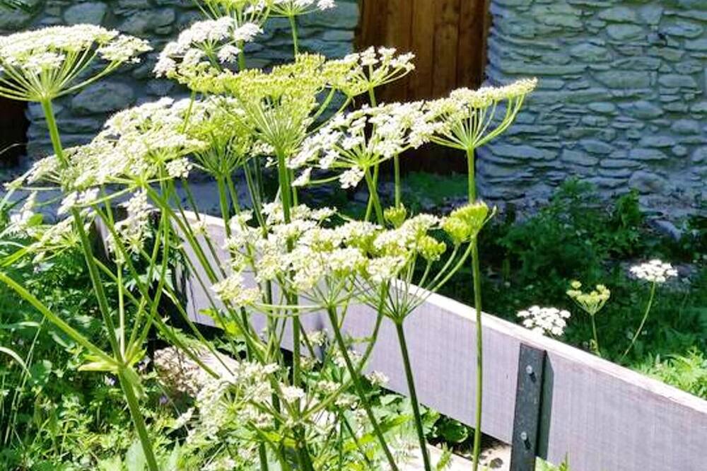 Photo of Outdoor in Monterosso Grana