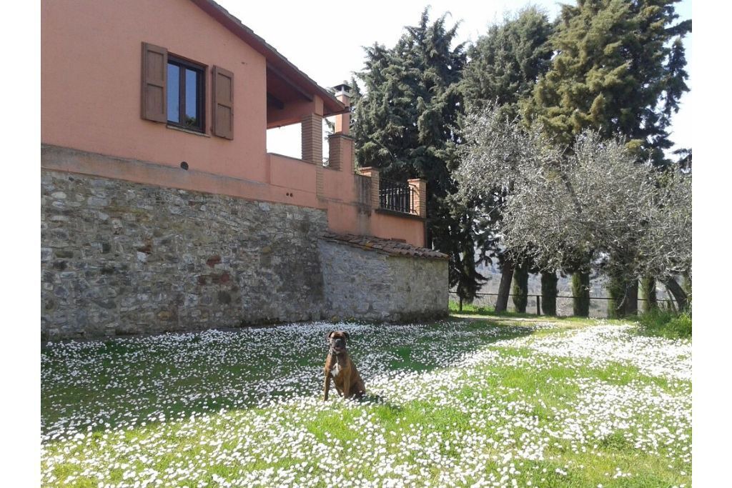 Photo of Outdoor in Teverina di Cortona