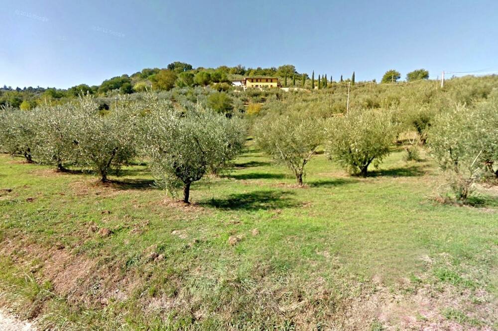 Photo of Outdoor in Bettona