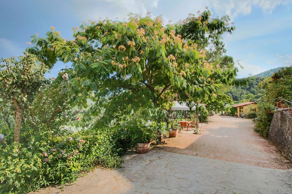 Photo of Outdoor in Bettona