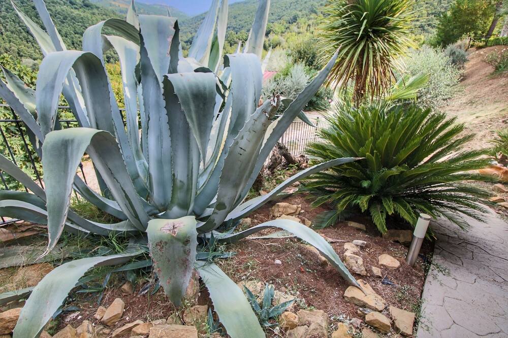 Photo of Outdoor in Bettona