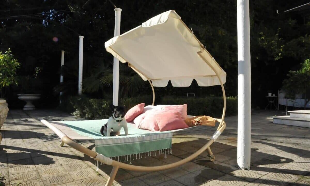 Photo of Outdoor in La Foce