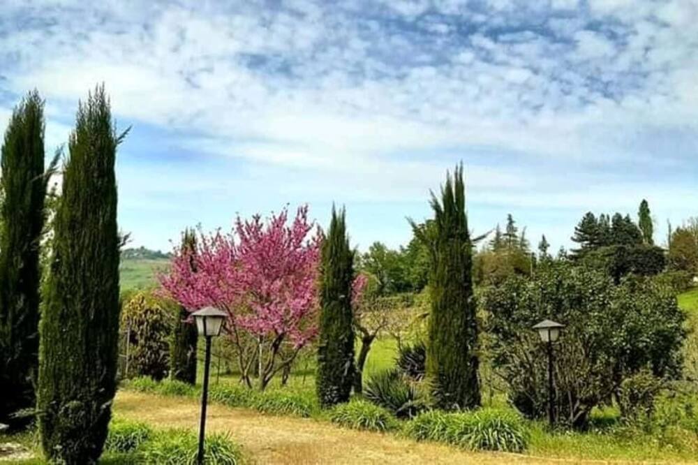 Photo of Others in Savigno