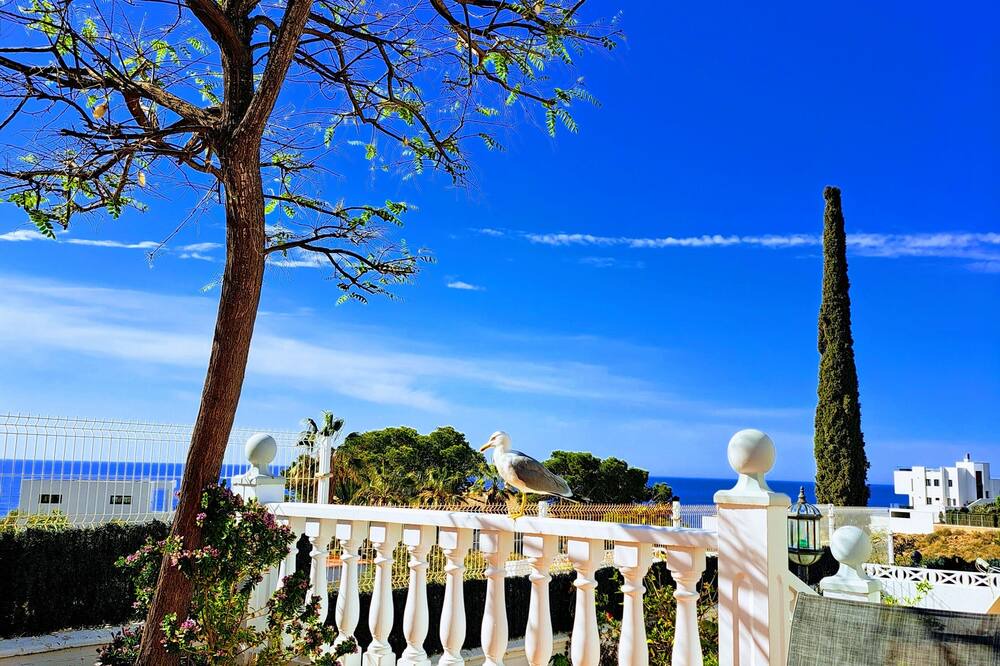 Photo of Outdoor in Los Puertos