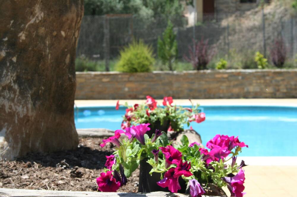 Photo of Outdoor in Las Almunias