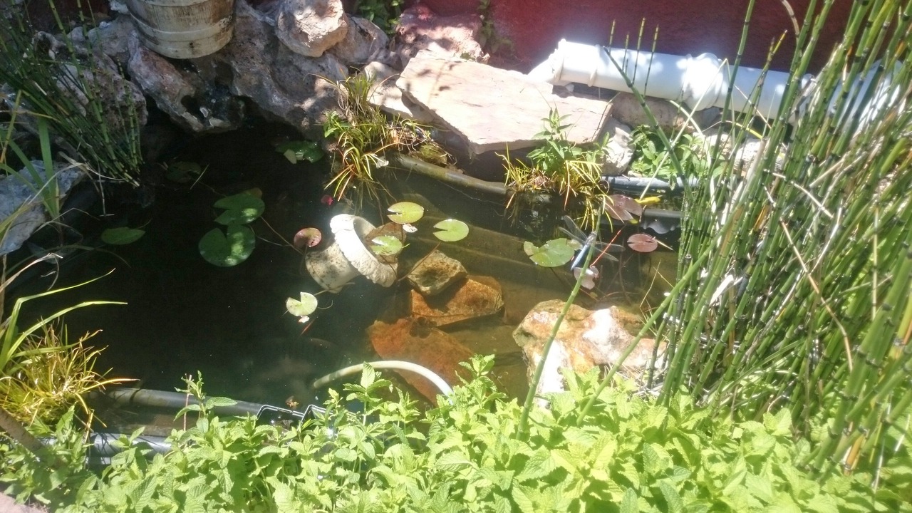 Photo of Outdoor in Batres