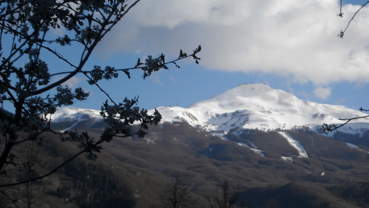 Photo of Others in Piane di Mocogno