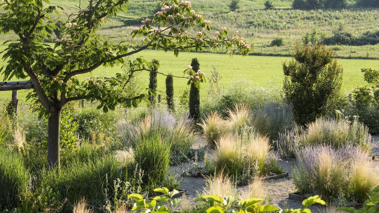 Photo of Outdoor in Rosignano Monferrato