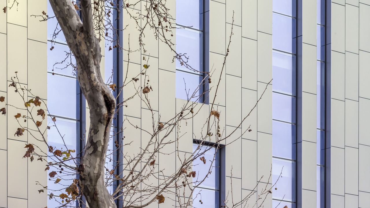 Photo of Others in Poblenou