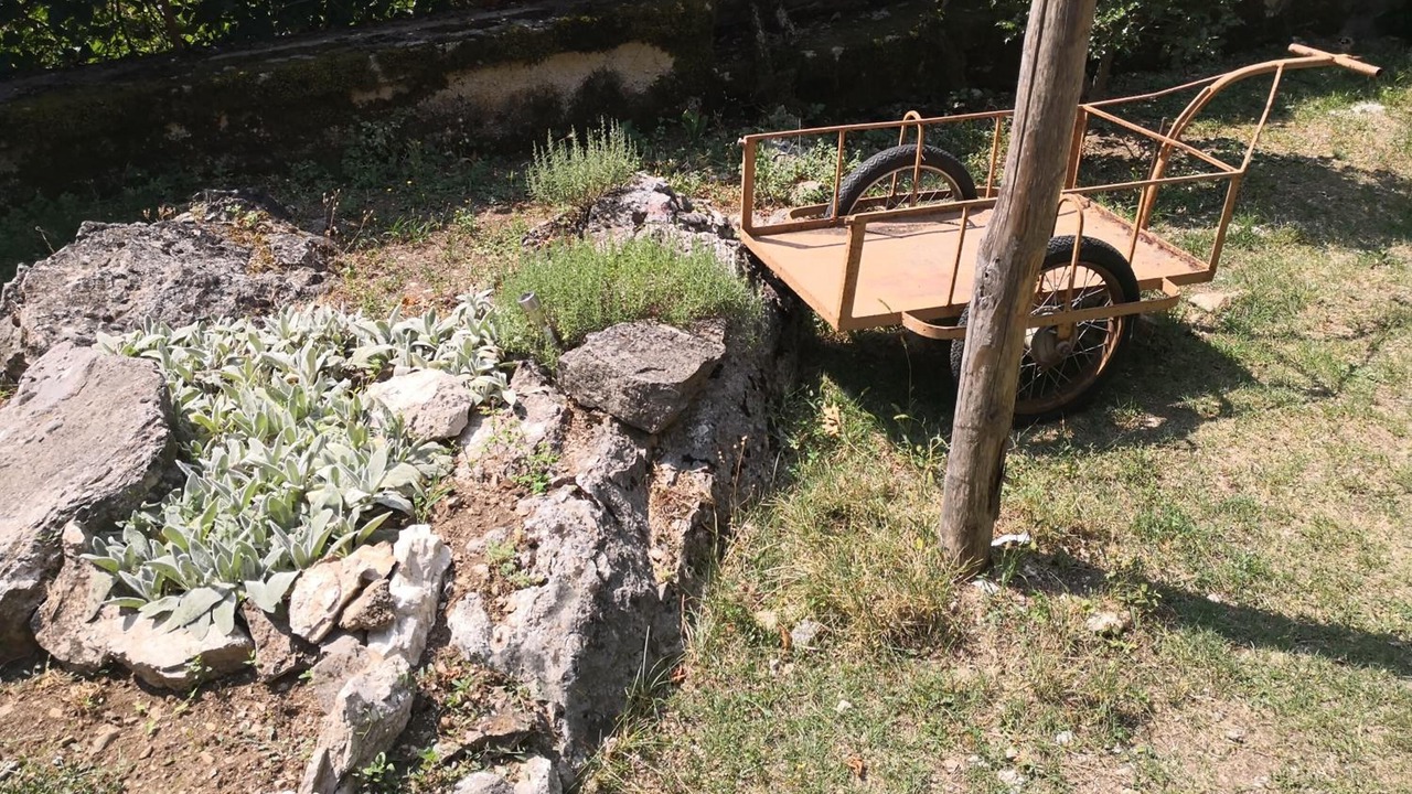 Photo of Outdoor in Morino