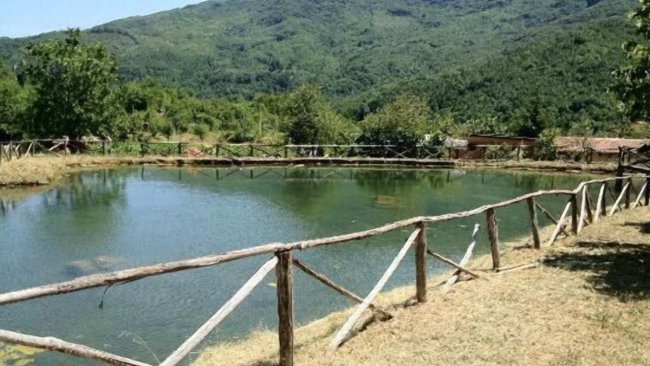 Photo of Outdoor in Morino