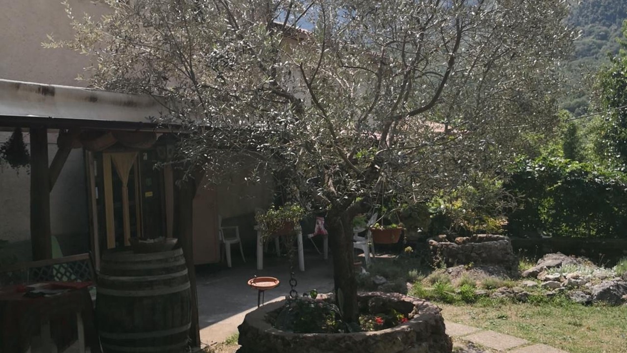 Photo of Outdoor in Morino