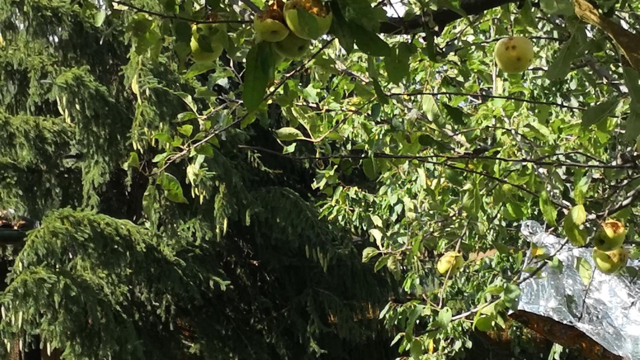 Photo of Outdoor in Morino