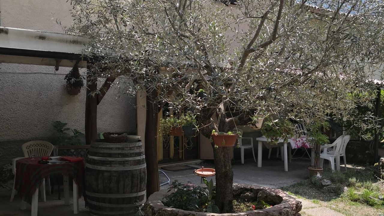 Photo of Outdoor in Morino