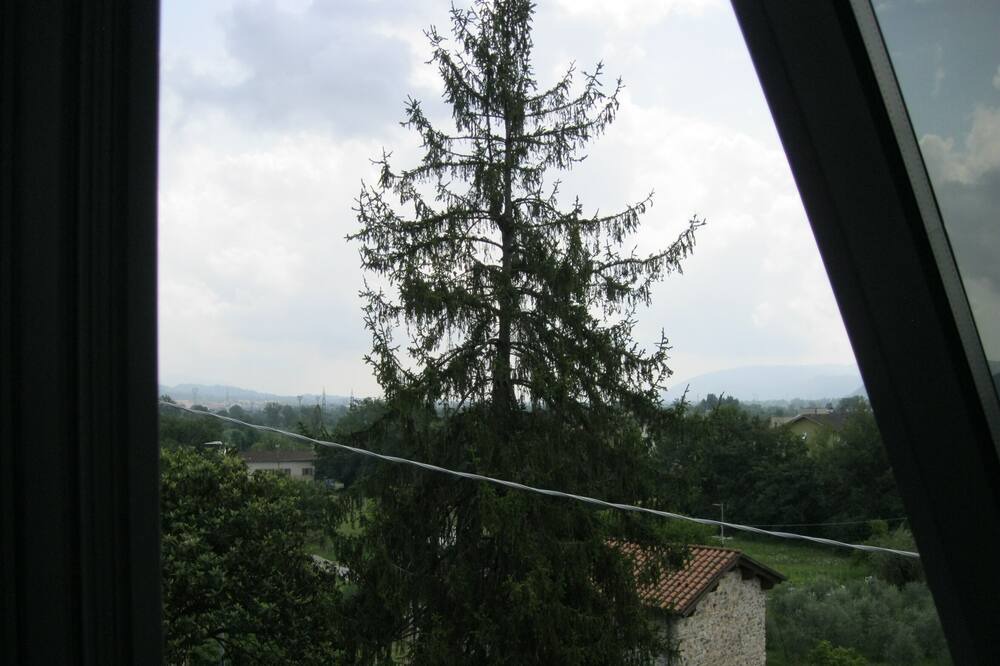 Photo of Others in Ceparana