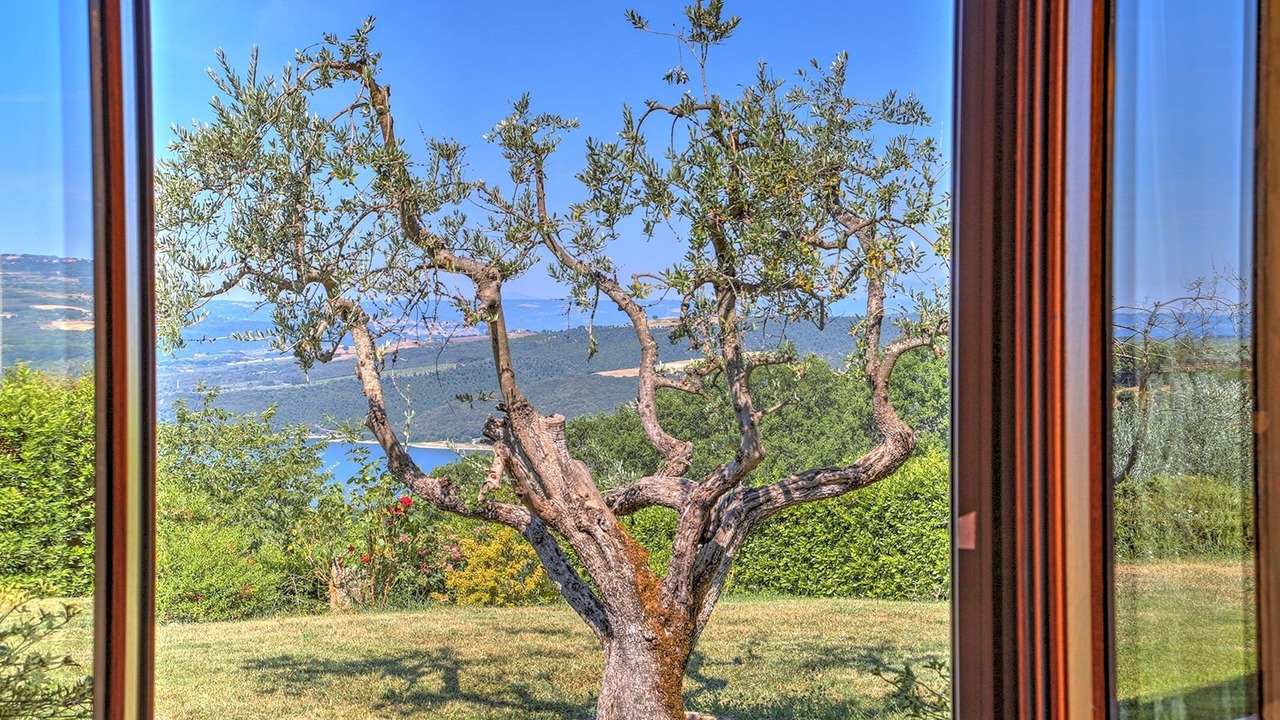 Photo of Others in Civitella Del Lago
