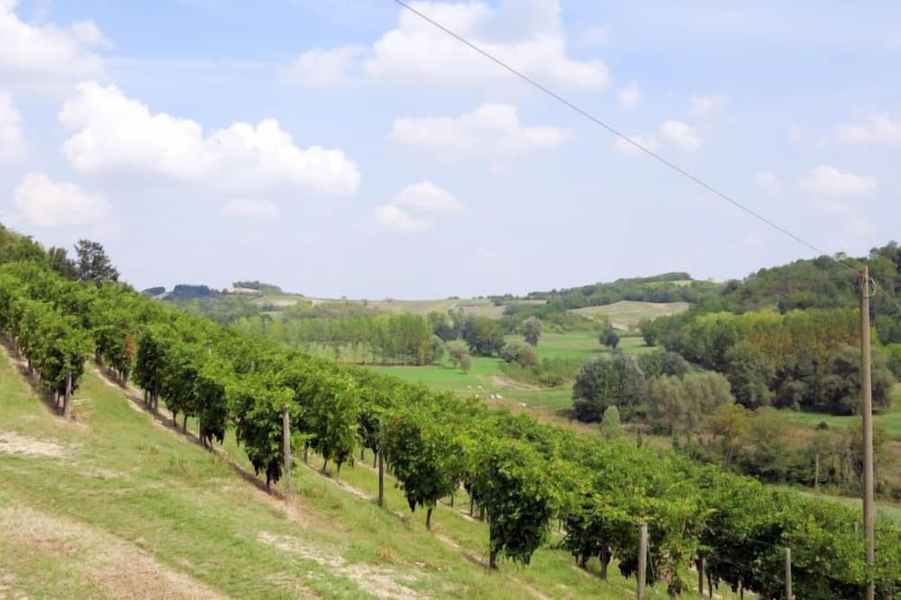 Photo of Others in Montemagno