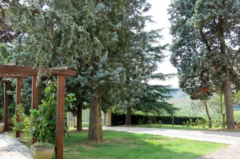 Photo of Outdoor in Montemagno