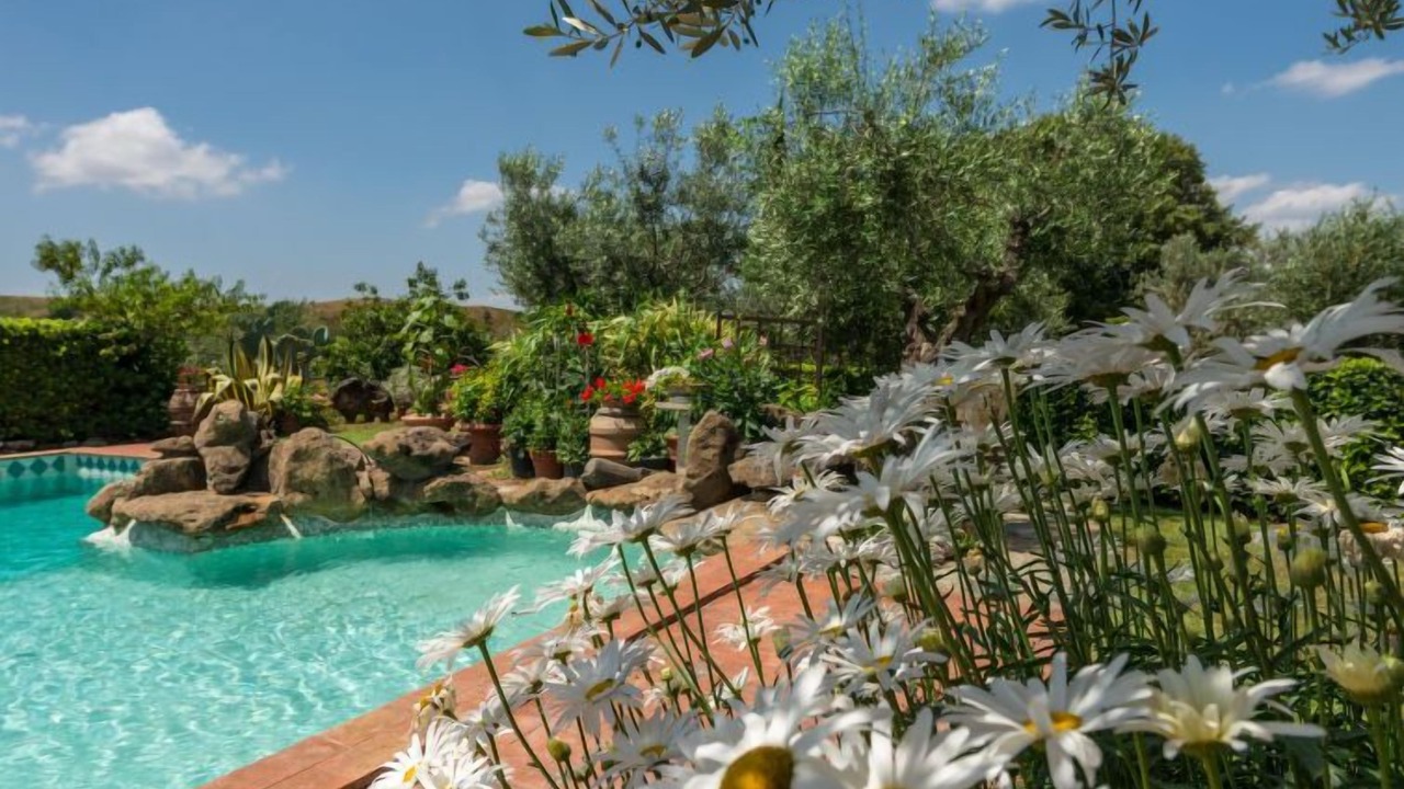 Photo of Outdoor in Scansano