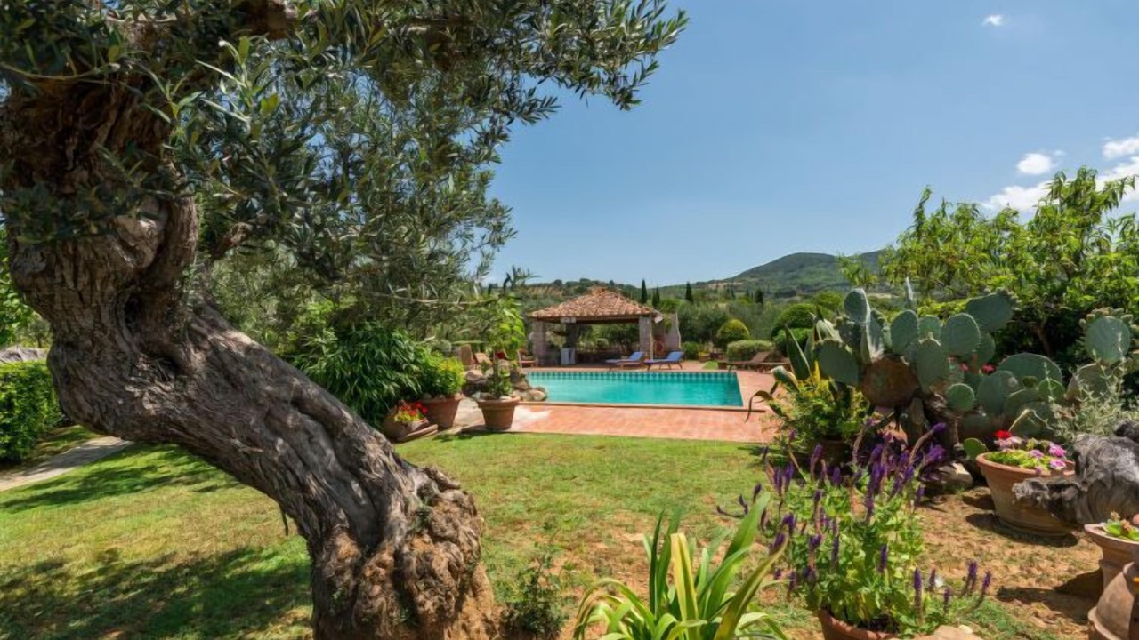 Photo of Outdoor in Scansano