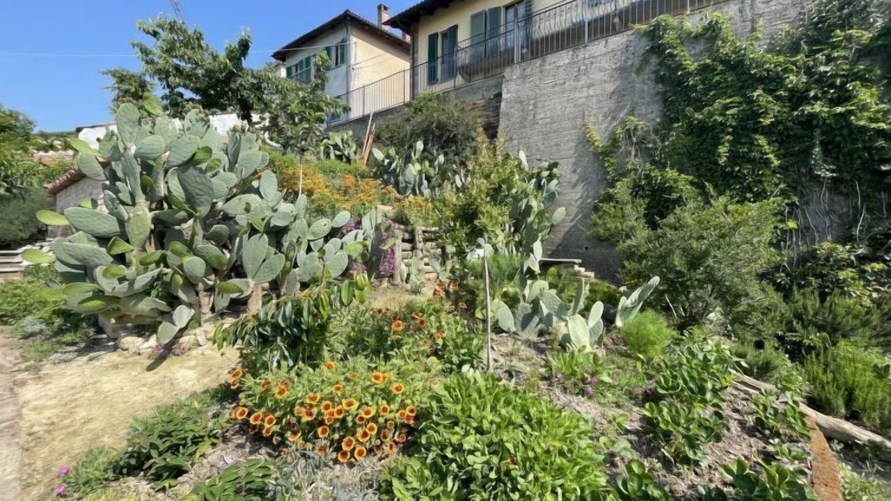 Photo of Outdoor in Montechiaro dʼAsti