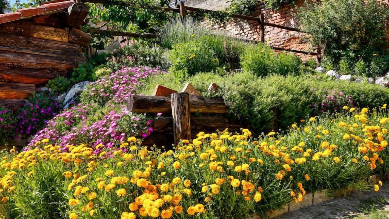 Photo of Outdoor in Montechiaro dʼAsti