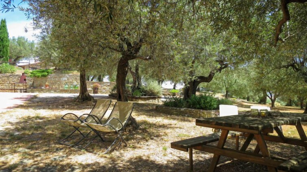 Photo of Outdoor in Teverina di Cortona