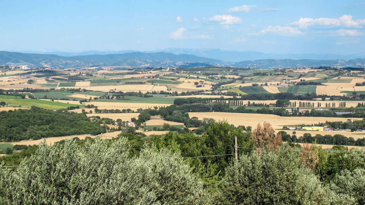 Photo of Outdoor in Teverina di Cortona