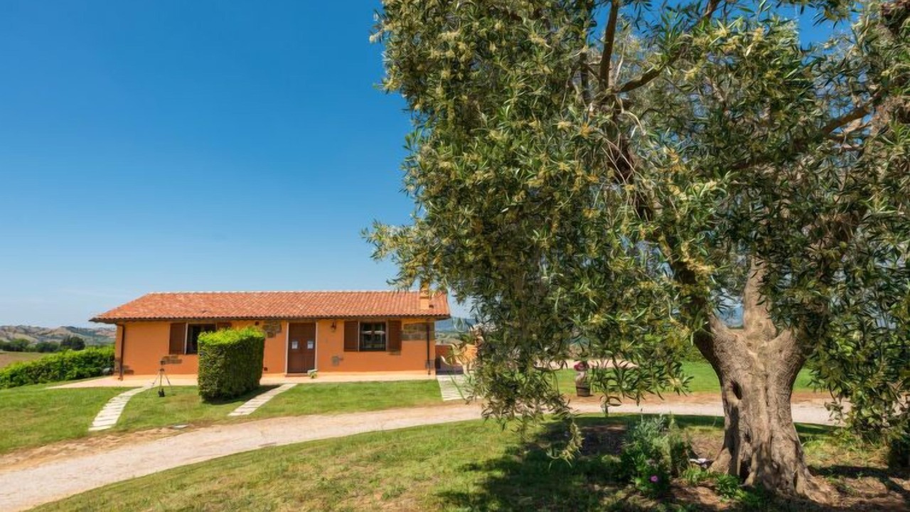 Photo of Outdoor in Scansano