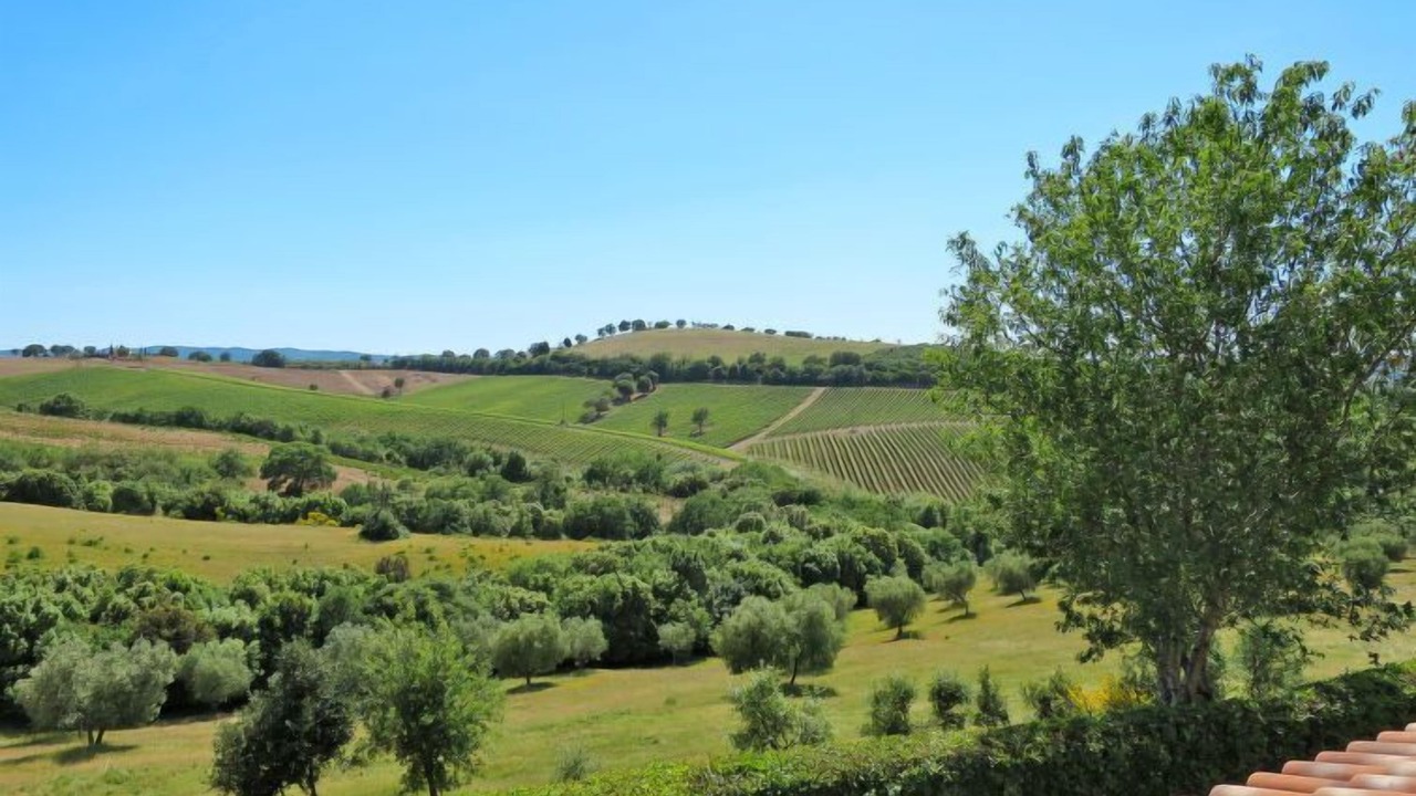 Photo of Outdoor in Scansano