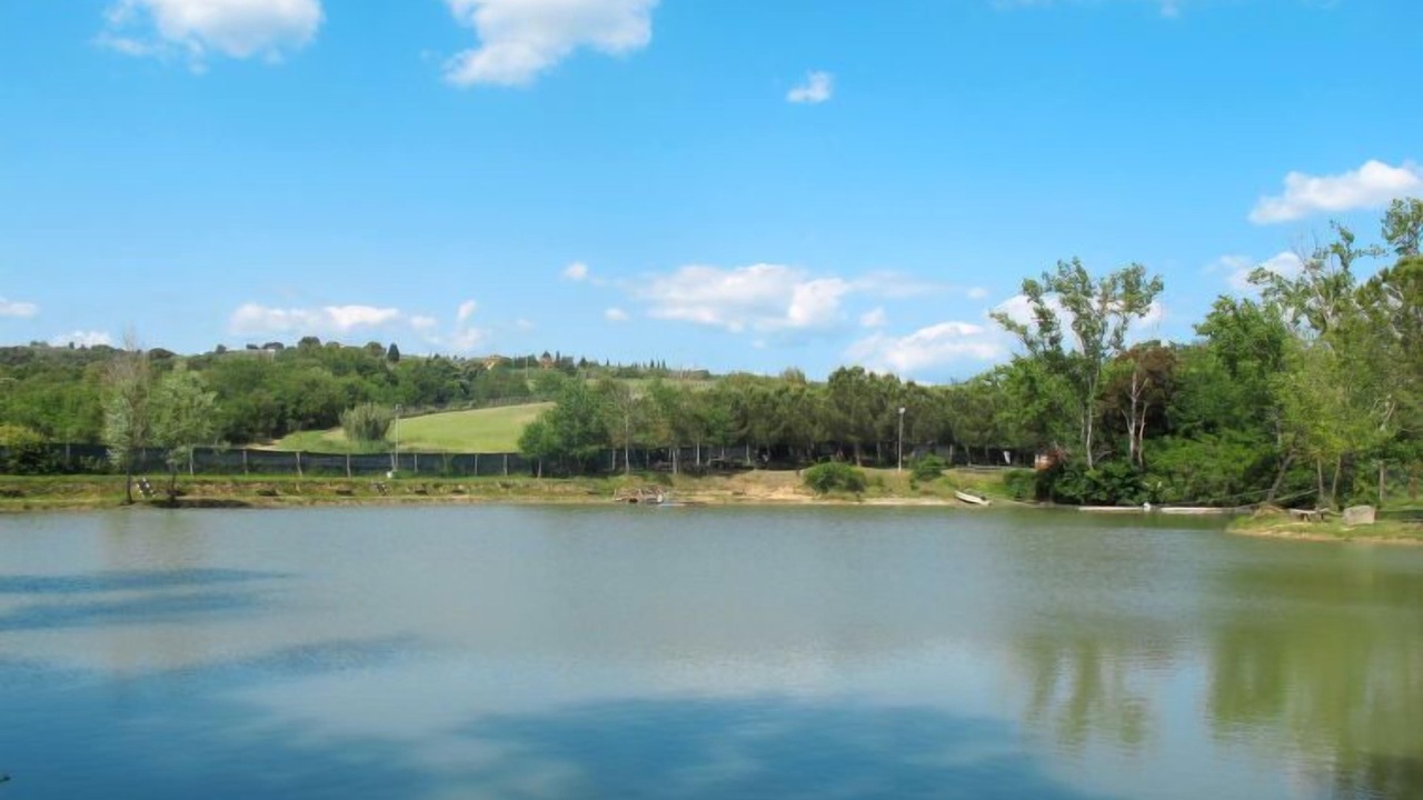 Photo of Outdoor in Oliveto