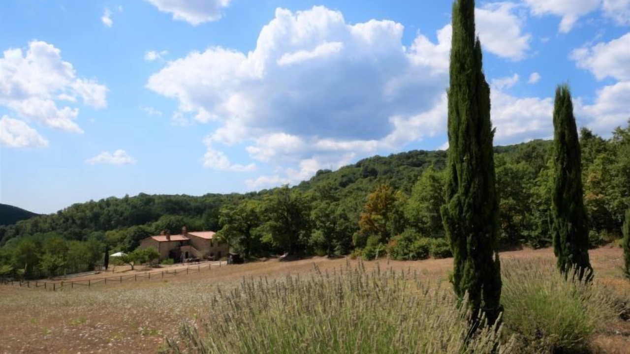 Photo of Outdoor in Massa Marittima