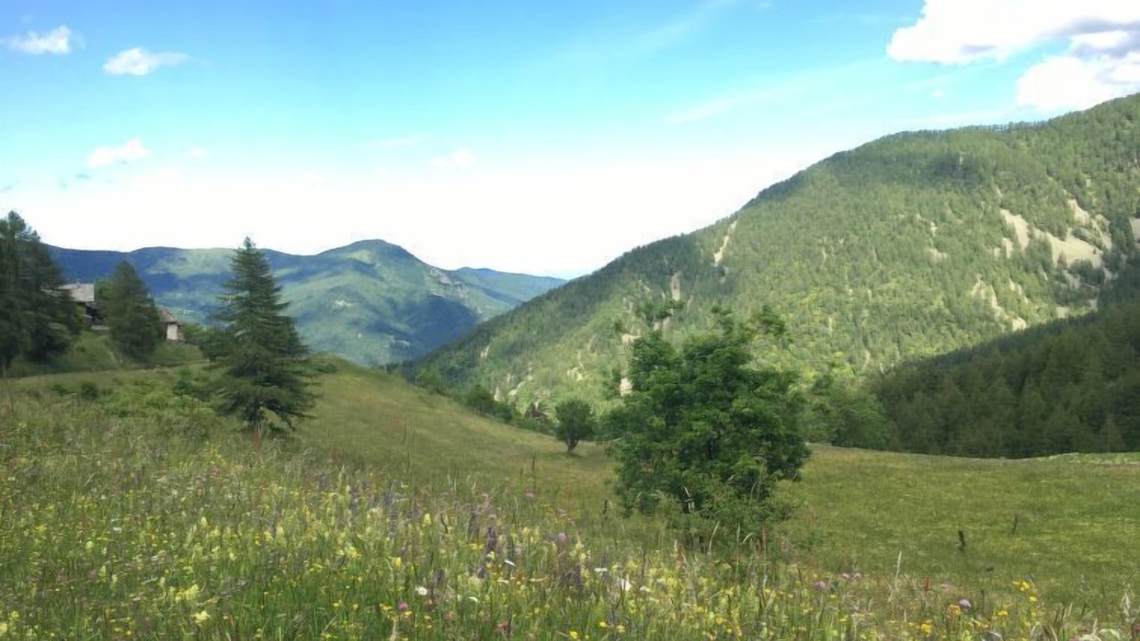 Photo of Outdoor in Sampeyre