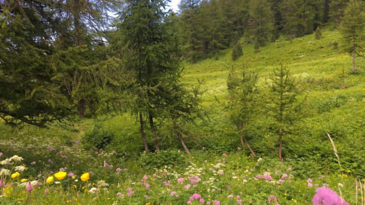 Photo of Outdoor in Sampeyre