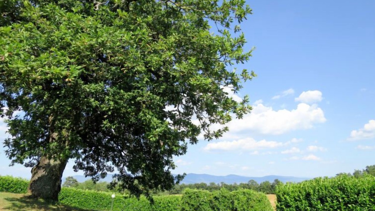 Photo of Outdoor in Orvieto