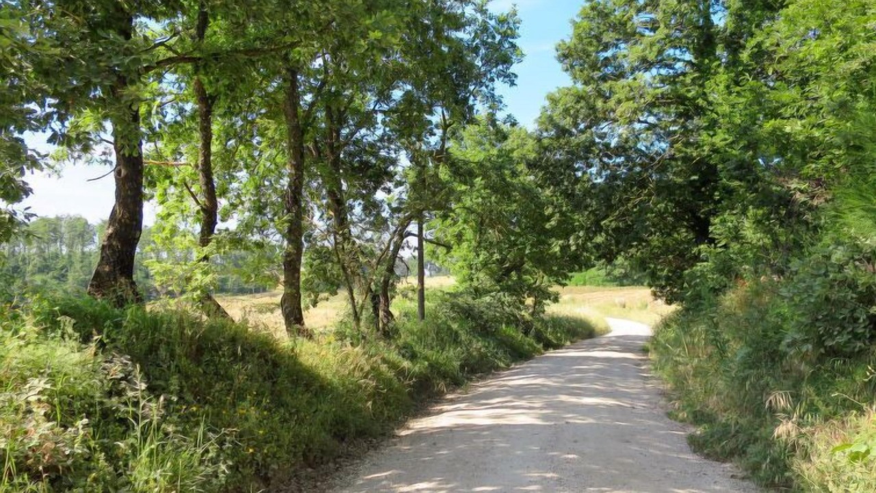 Photo of Outdoor in Orvieto