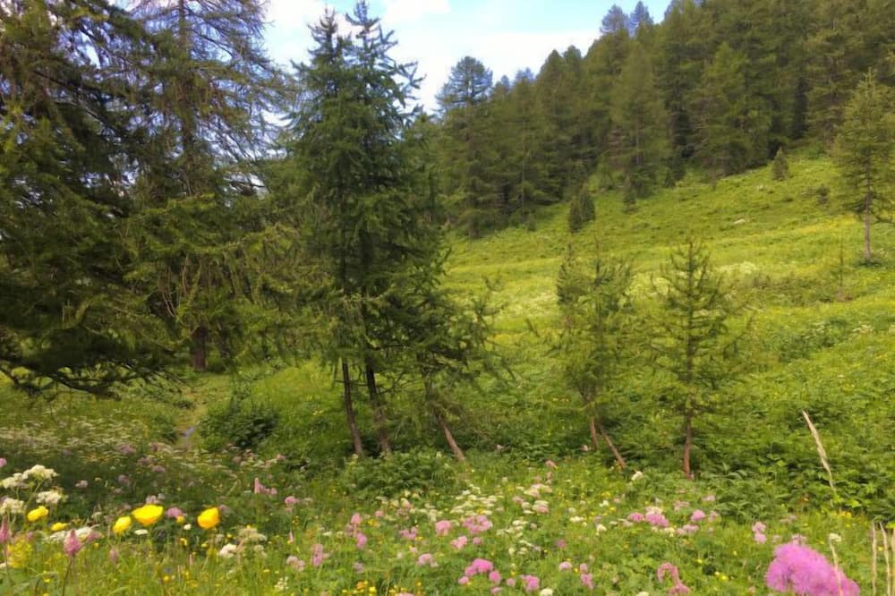 Photo of Outdoor in Sampeyre