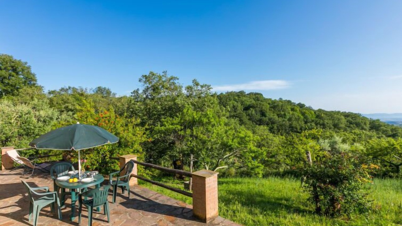 Photo of Outdoor in Scansano