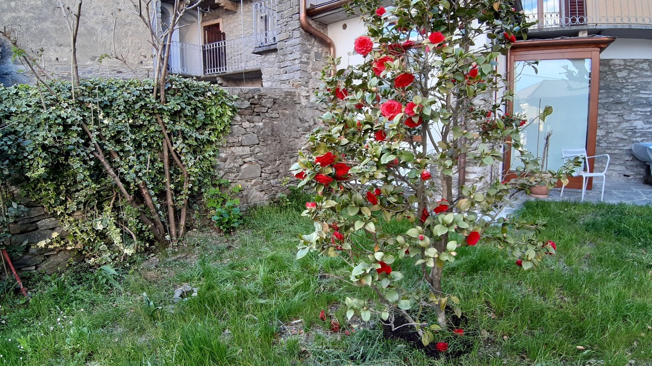 Photo of Outdoor in Premeno
