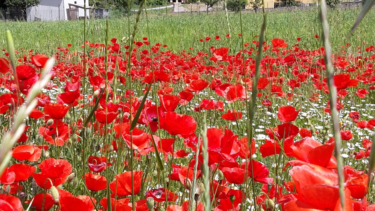 Photo of Outdoor in Gioia dei Marsi