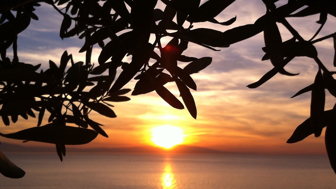 Photo of Others in Gemlik