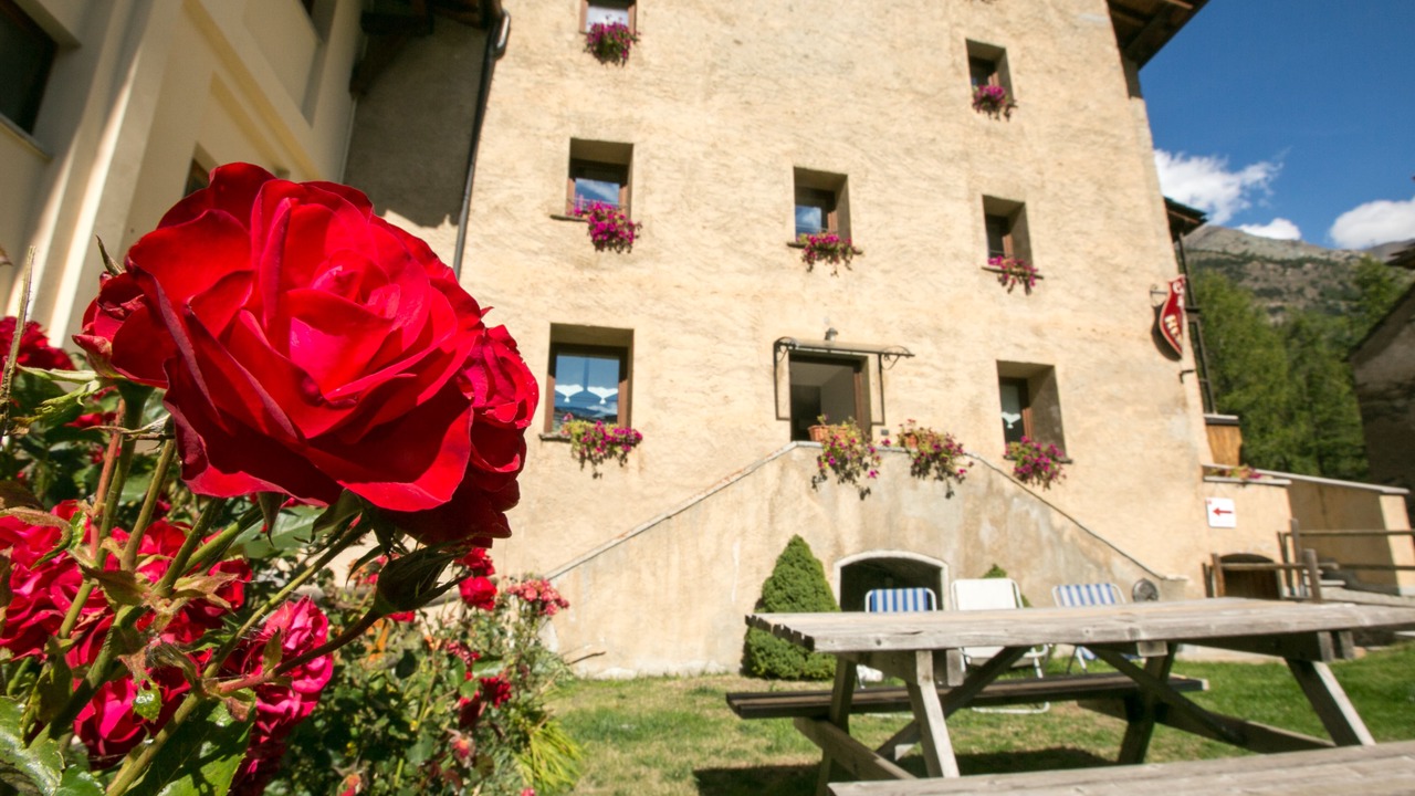 Photo of Outdoor in Cogne