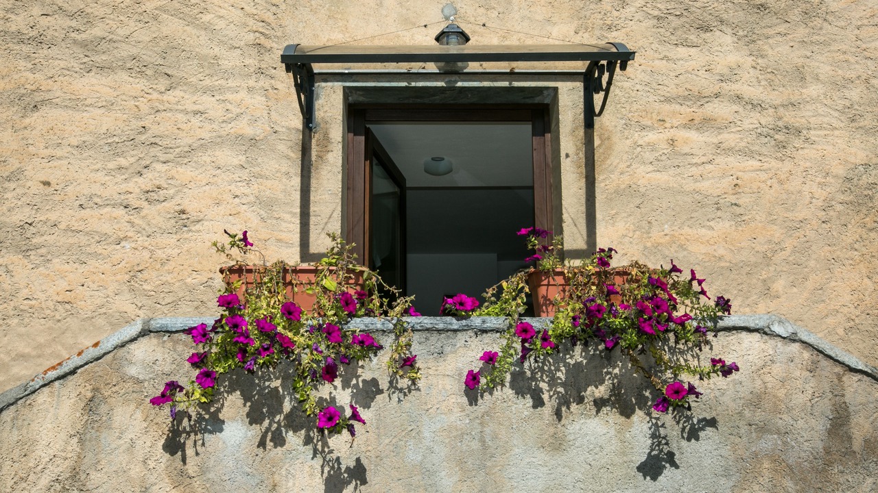 Photo of Outdoor in Cogne